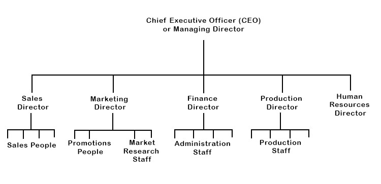 A typical chain of command is displayed below in an organisational chart